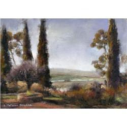 Limor Barnea Matisiss, Israeli Art