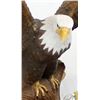 Image 5 : Eagle with 2 eaglets Ceramic Figurine