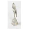 Image 1 : Zuni Carved Antler Parrot Fetish, Esteban Najera