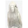Image 3 : Zuni Carved Antler Parrot Fetish, Esteban Najera
