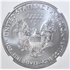 Image 3 : 2019 AMERICAN SILVER EAGLE, NGC MS-69