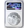 Image 4 : 2019 AMERICAN SILVER EAGLE, NGC MS-69