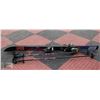 Image 1 : ELAN EXTREME SKIS W/ GIPRON POLES