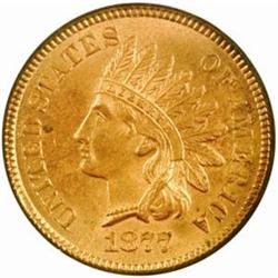 1877 Indian Cent Unc Details-Altered Color (NCS)