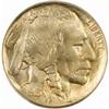 Image 1 : 1913 Buffalo Nickel Type I MS-66 (PCGS)