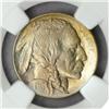 Image 1 : 1913-D Buffalo Nickel Type I MS-67 (NGC)