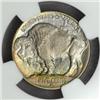 Image 2 : 1913-D Buffalo Nickel Type I MS-67 (NGC)