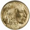 Image 1 : 1913-D Buffalo Nickel Type I MS-66 (PCGS)