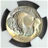 Image 2 : 1913-S Buffalo Nickel Type I MS-65 (NGC)