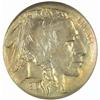 Image 1 : 1913-S Buffalo Nickel Type I MS-64 (PCGS)