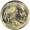 Image 1 : 1913 Buffalo Nickel Type II MS-66 (PCGS)
