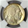 Image 1 : 1913 Buffalo Nickel Type II MS-66 (NGC)