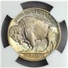 Image 2 : 1913 Buffalo Nickel Type II MS-66 (NGC)