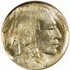 Image 1 : 1913-D Buffalo Nickel Type II MS-67 (PCGS) OGH