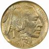 Image 1 : 1913-D Buffalo Nickel Type II MS-67 (NGC)