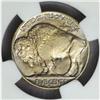 Image 2 : 1915-D Buffalo Nickel MS-66 (NGC)
