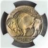 Image 2 : 1915-S Buffalo Nickel MS-66 (NGC)