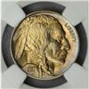 Image 1 : 1917 Buffalo Nickel MS-65 (NGC)