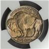 Image 2 : 1917 Buffalo Nickel MS-65 (NGC)