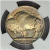 Image 2 : 1918 Buffalo Nickel MS-65 (NGC)