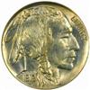 Image 1 : 1919 Buffalo Nickel MS-66 (PCGS)