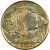 Image 2 : 1919 Buffalo Nickel MS-66 (PCGS)