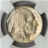 Image 1 : 1919 Buffalo Nickel MS-64 (NGC)