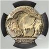 Image 2 : 1919 Buffalo Nickel MS-64 (NGC)