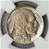 Image 1 : 1919-D Buffalo Nickel MS-66 (NGC)