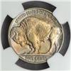 Image 2 : 1919-D Buffalo Nickel MS-66 (NGC)