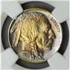 Image 1 : 1920 Buffalo Nickel MS-66 (NGC)