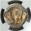 Image 2 : 1920 Buffalo Nickel MS-66 (NGC)
