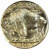 Image 2 : 1921 Buffalo Nickel MS-67 (PCGS)