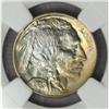 Image 1 : 1923 Buffalo Nickel MS-67 * (NGC)