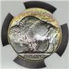 Image 2 : 1923 Buffalo Nickel MS-67 * (NGC)