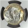 Image 2 : 1924 Buffalo Nickel MS-67 * (NGC)