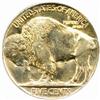 Image 1 : 1924 Buffalo Nickel MS-66 (PCGS)