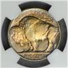Image 2 : 1927-D Buffalo Nickel MS-66 (NGC)