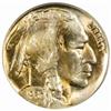 Image 1 : 1930 Buffalo Nickel MS-66 (PCGS) OGH