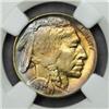 Image 1 : 1934-D Buffalo Nickel MS-64 (NGC)