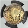Image 2 : 1934-D Buffalo Nickel MS-64 (NGC)