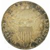 Image 2 : 1799 $1.Irregular Date, 13-Stars Rev EF40 PCGS