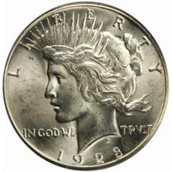 1928 Peace Silver Dollar MS-64 (PCGS)