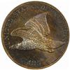 Image 1 : 1857 Flying Eagle Cent Snow-PR2 PR65 (NGC)