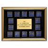 Image 1 : Lillehammer 1994 Winter Olympics Team USA Pin Collection of (14)