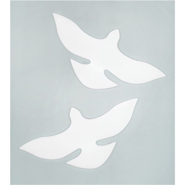 Tokyo 2020 Summer Olympics Opening Ceremony (2) Doves