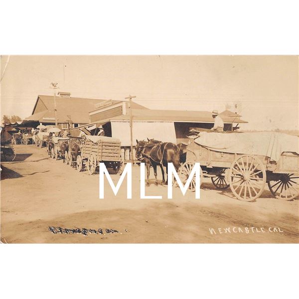 Wagons Waiting to be Unloaded Newcastle, California Photo Postcard