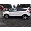 Image 8 : F1 --  2013 FORD ESCAPE SE, White, 205020 KM's