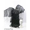 Image 1 : Gothic Angel Movie Costumes