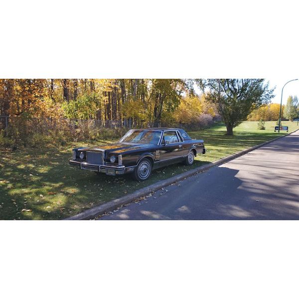 1980 LINCOLN MARK VI